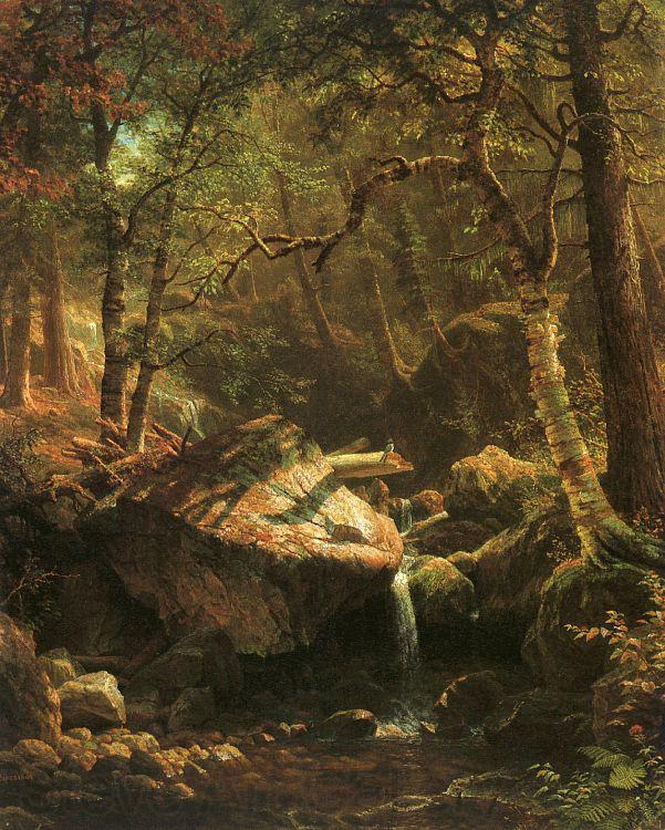 Bierstadt, Albert The Mountain Brook Spain oil painting art